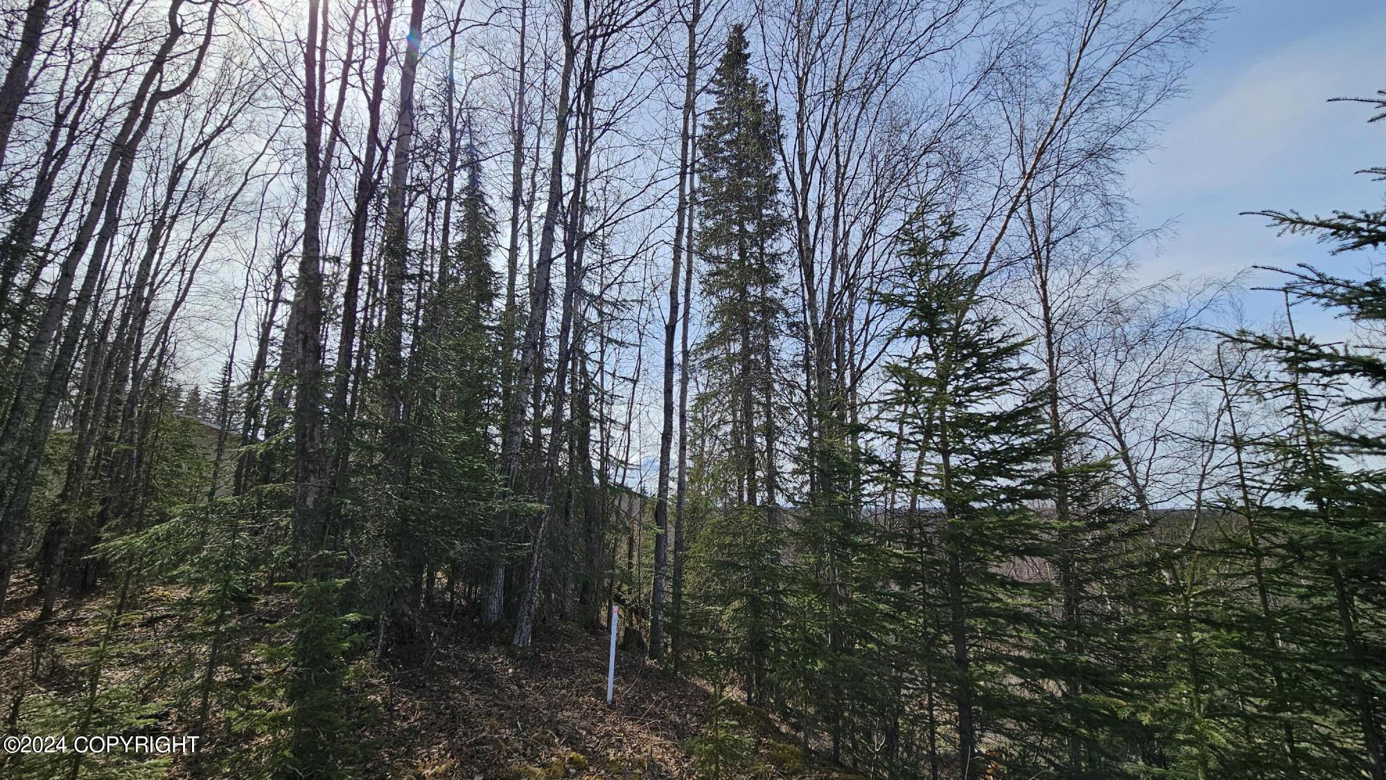5263 Kenai Spur Highway Property Photo 8