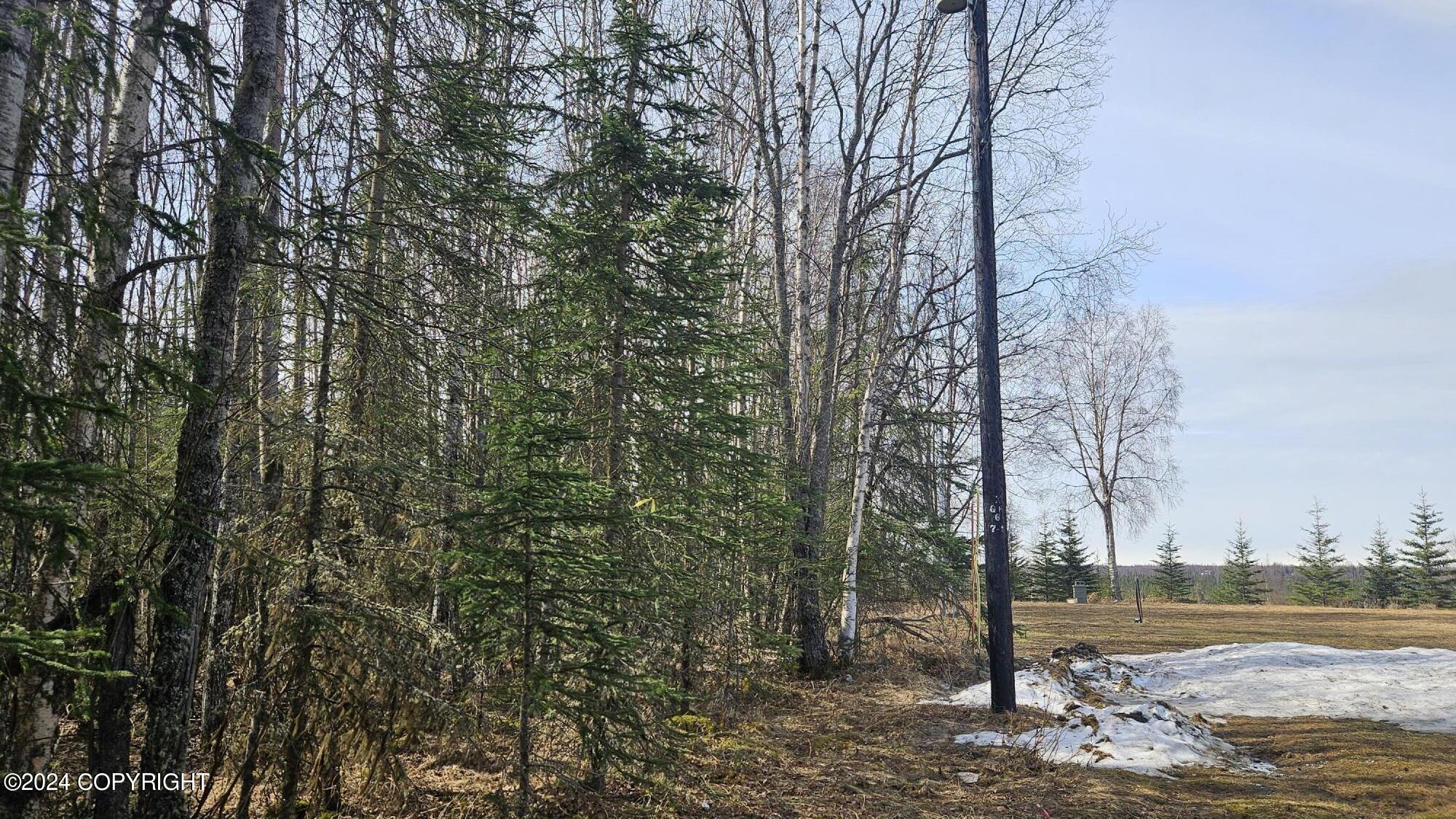 5263 Kenai Spur Highway Property Photo 10