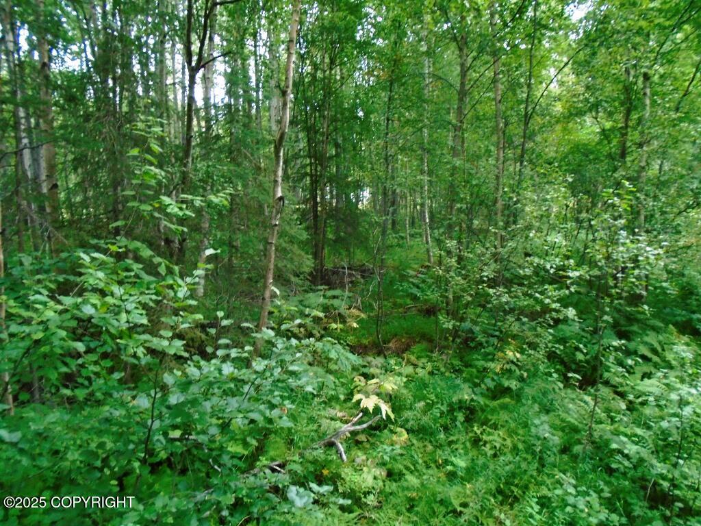 Lot 102 Nw Loc Sault Avenue Property Photo 1
