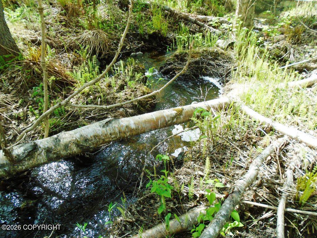 Lot 102 Nw Loc Sault Avenue Property Photo 2