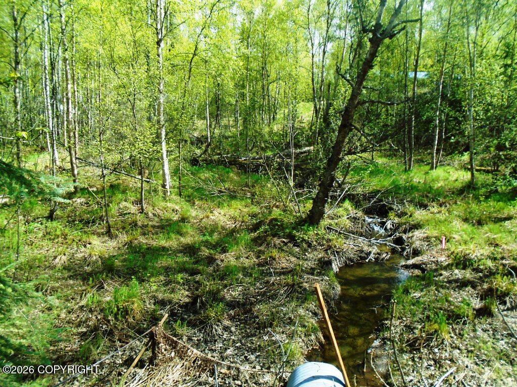 Lot 102 Nw Loc Sault Avenue Property Photo 3