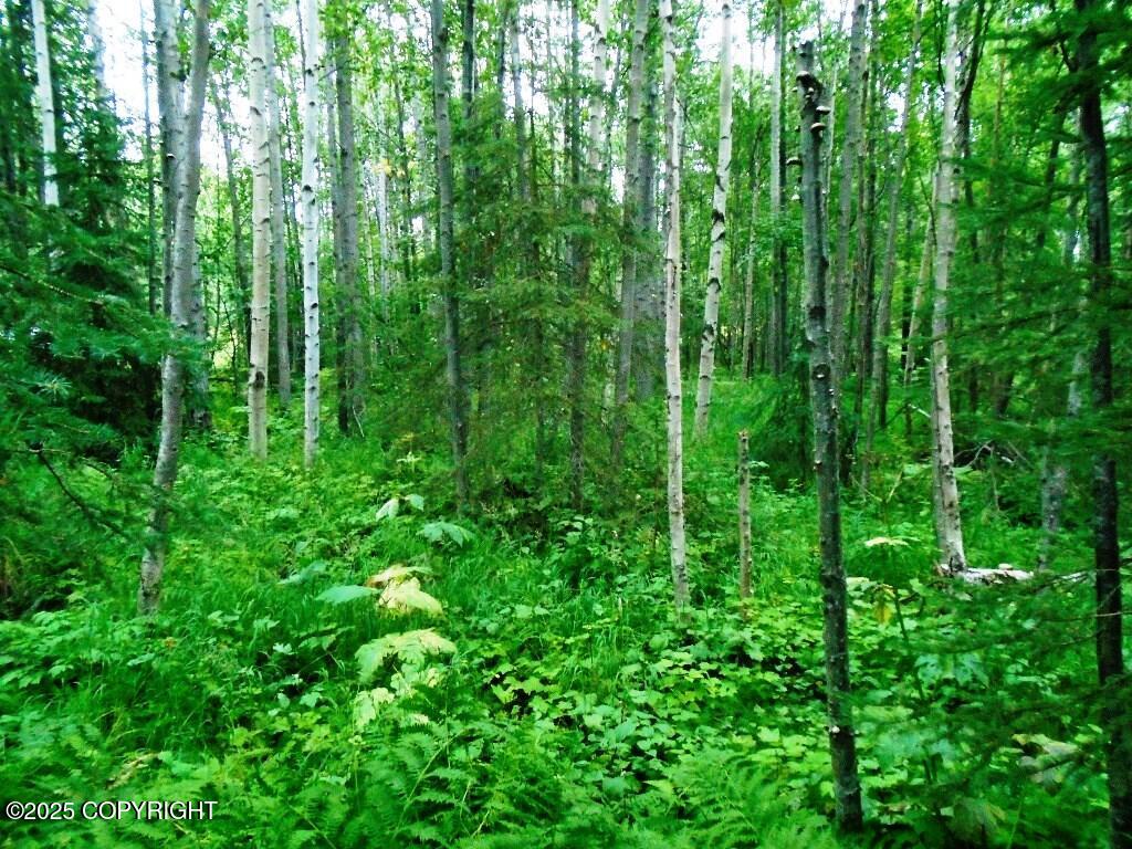 Lot 102 Nw Loc Sault Avenue Property Photo 4
