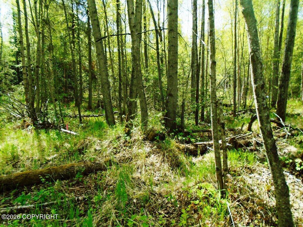 Lot 102 Nw Loc Sault Avenue Property Photo 5