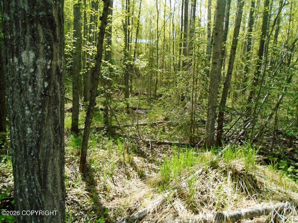 Lot 102 Nw Loc Sault Avenue Property Photo 10