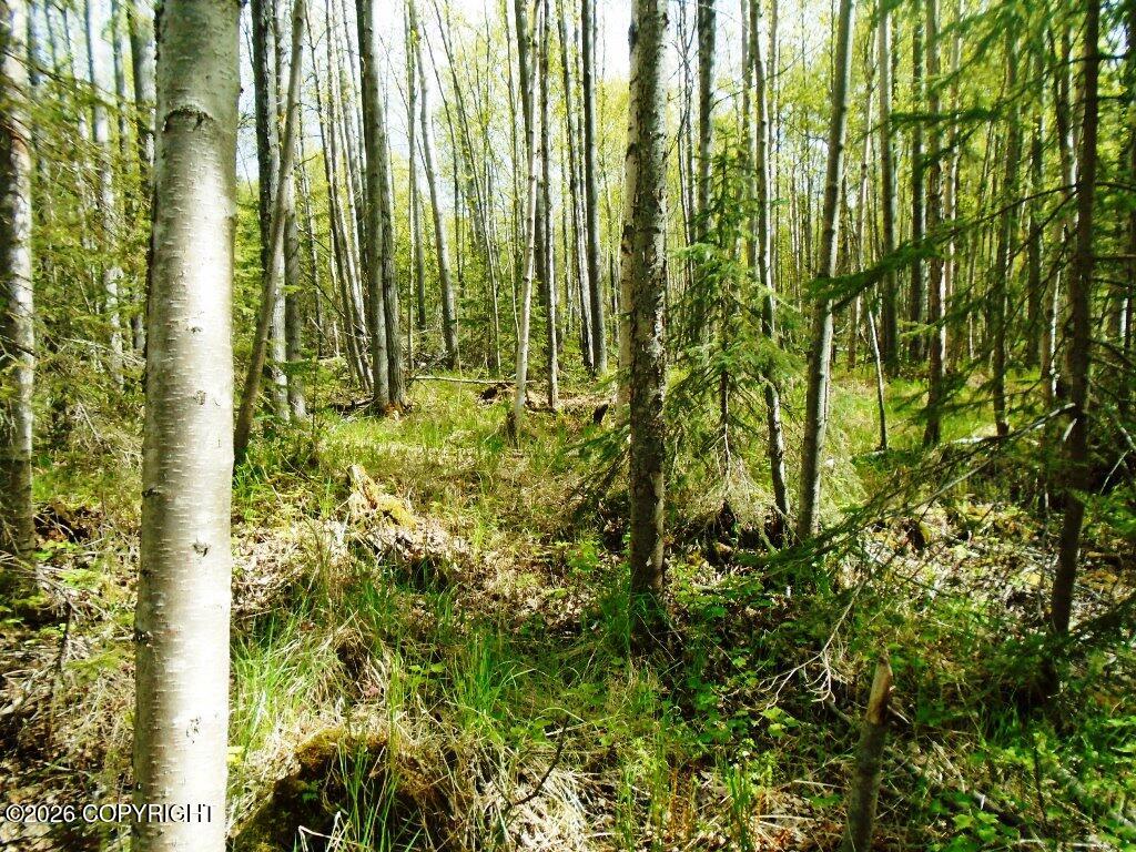 Lot 102 Nw Loc Sault Avenue Property Photo 15