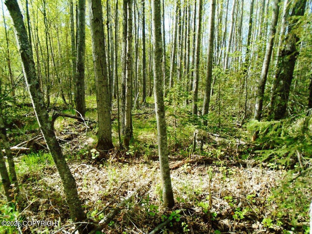 Lot 102 Nw Loc Sault Avenue Property Photo 16