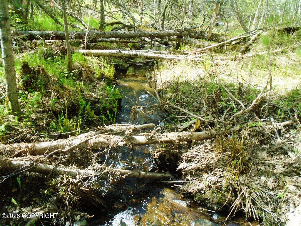 Lot 102 Nw Loc Sault Avenue Property Photo 17