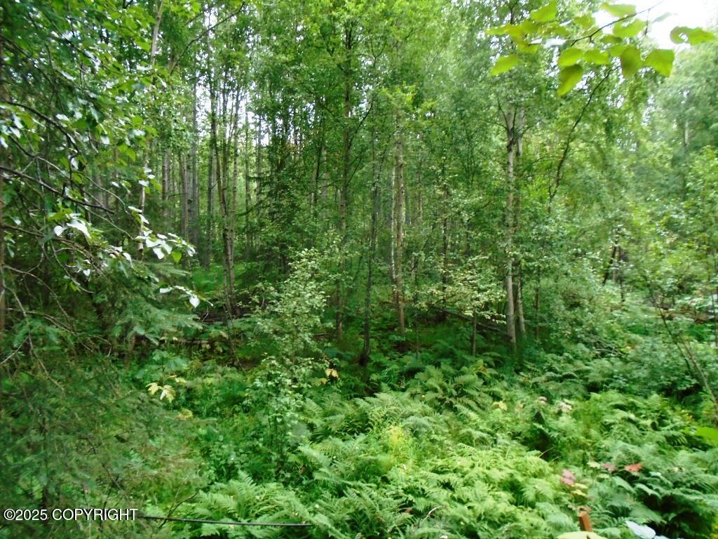 Lot 102 Nw Loc Sault Avenue Property Photo 18