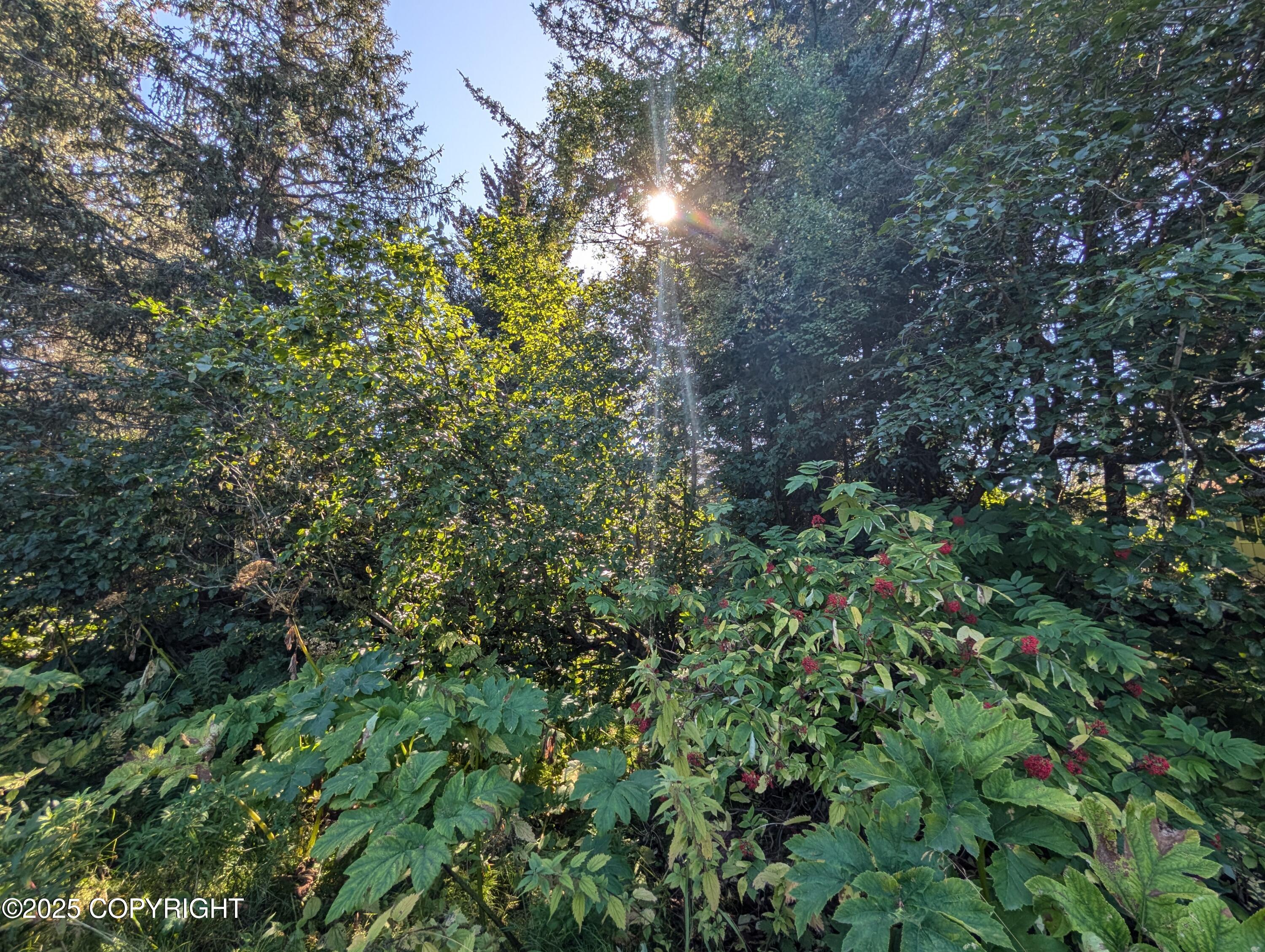 421 Soundview Avenue Property Photo 1