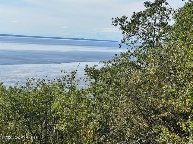 000 Potter View Circle Property Photo 2