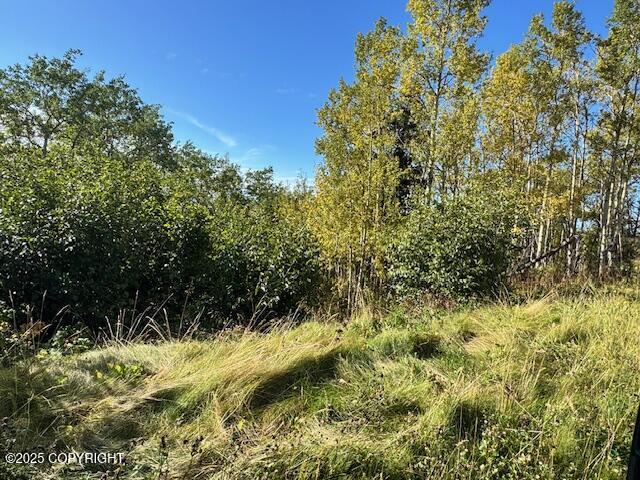 000 Potter View Circle Property Photo 5