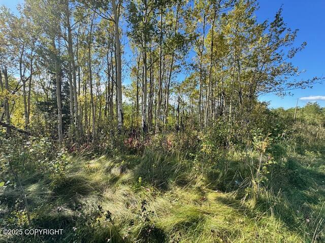 000 Potter View Circle Property Photo 6