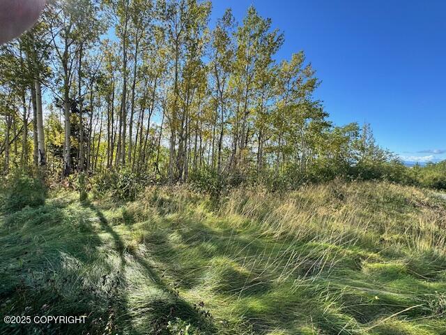 000 Potter View Circle Property Photo 7
