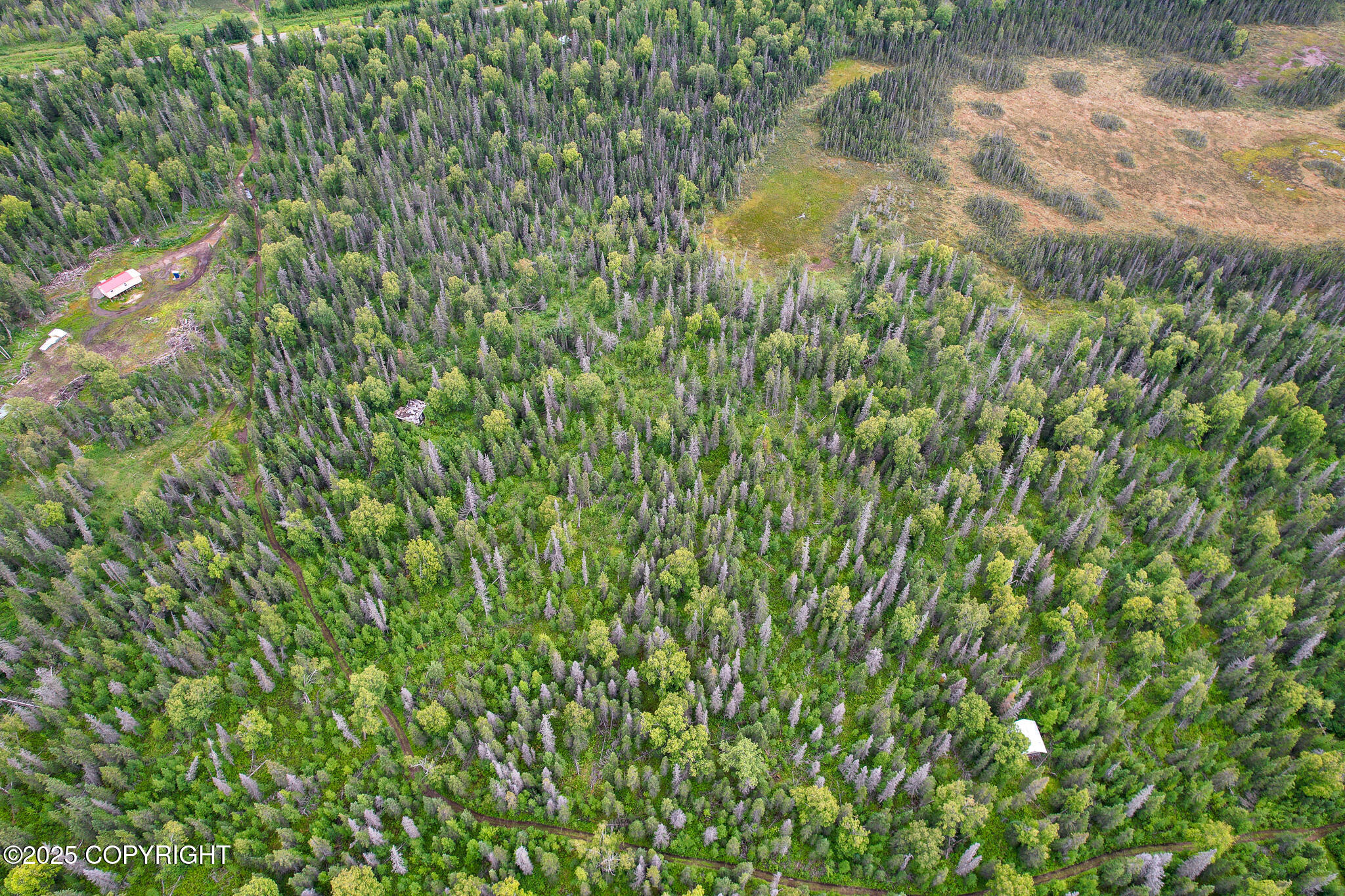 37403 Golden Rod Loop Property Photo 1