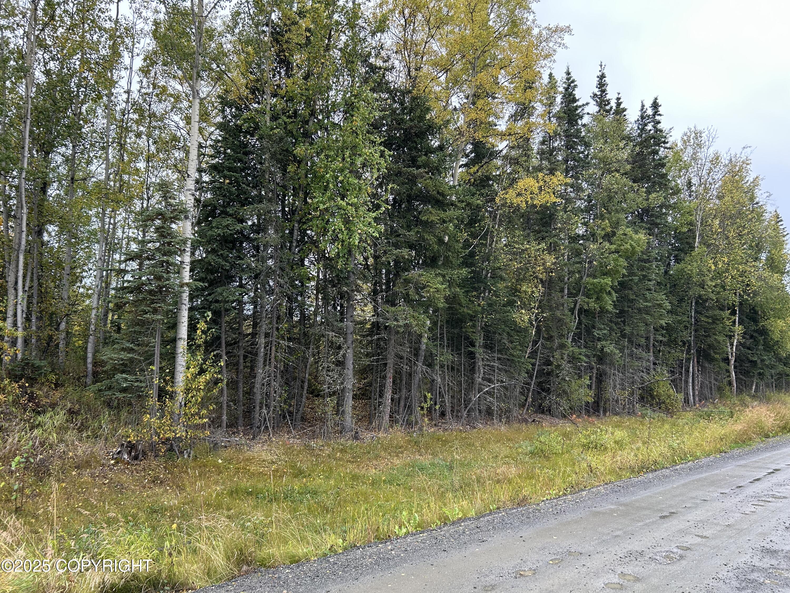 48425 Sterling Highway Property Photo 3