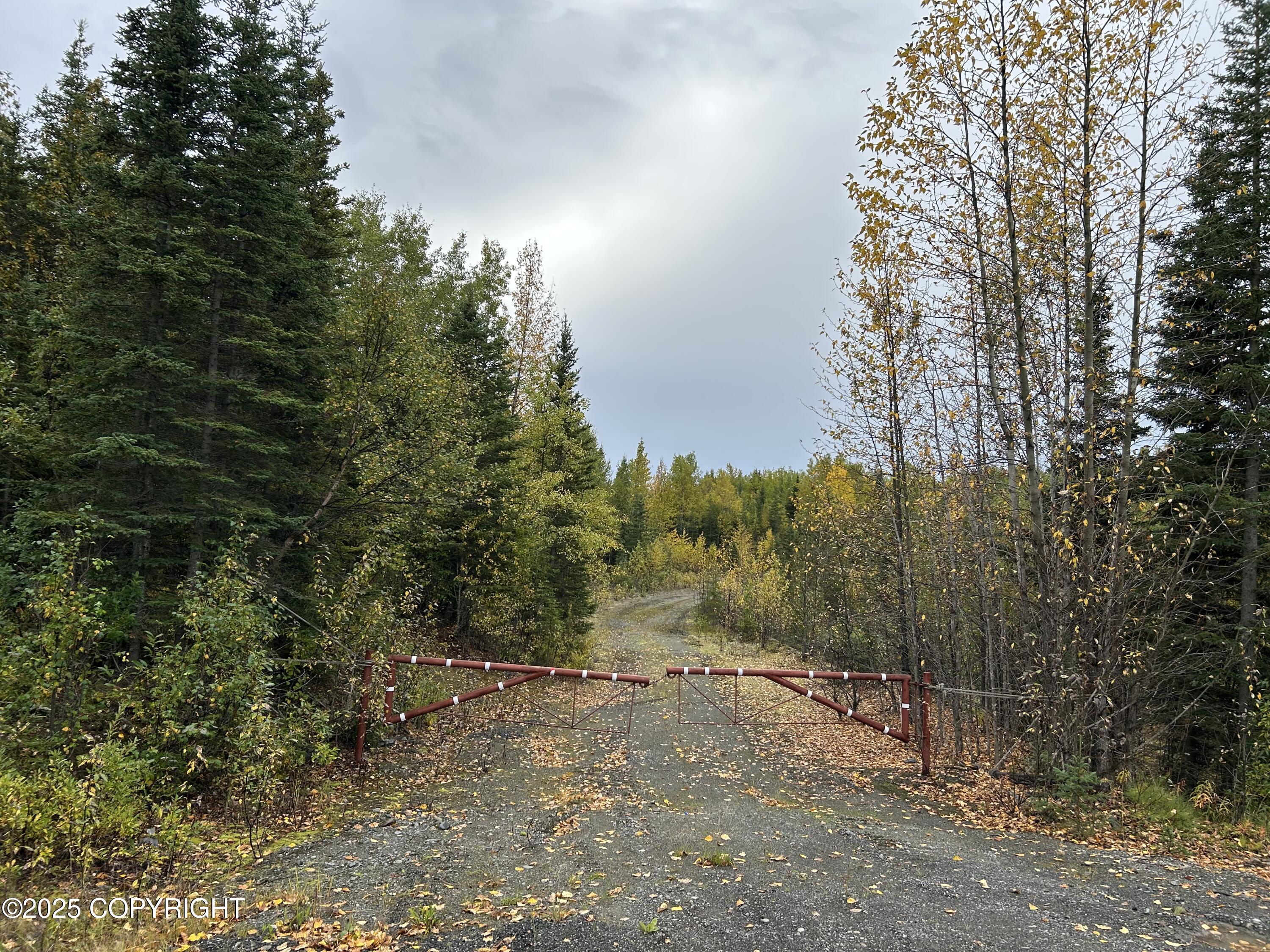 48425 Sterling Highway Property Photo 5