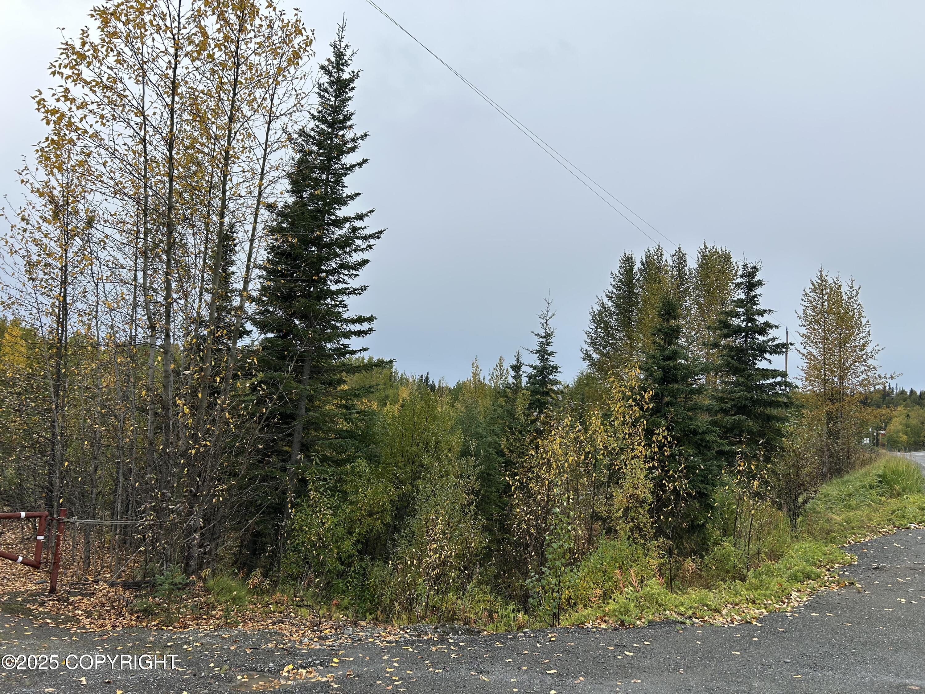 48425 Sterling Highway Property Photo 6