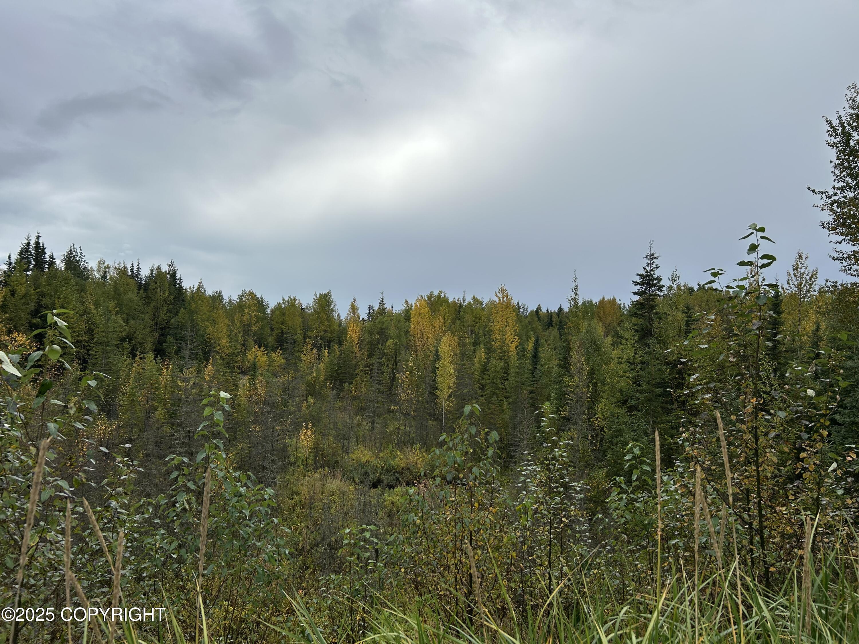 48425 Sterling Highway Property Photo 7