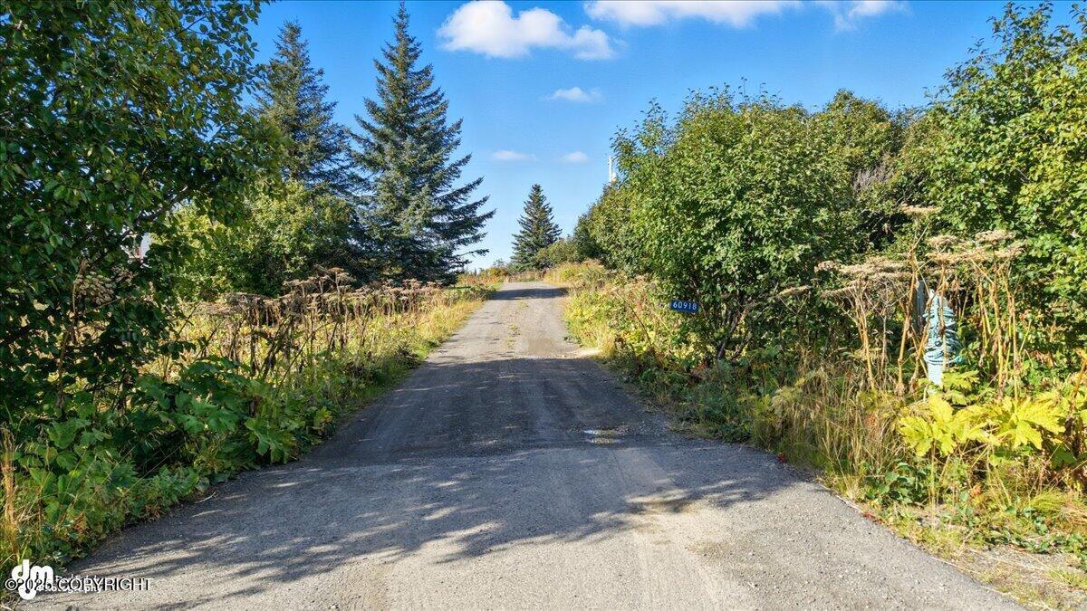60918 Skyline Drive Property Photo 58