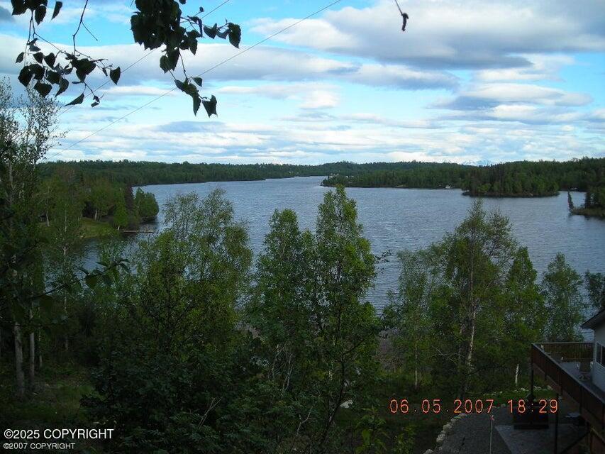 000 Daniels Lake Property Photo 2