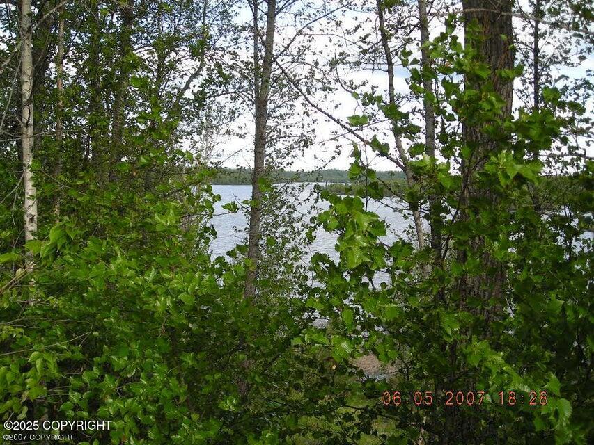 000 Daniels Lake Property Photo 3