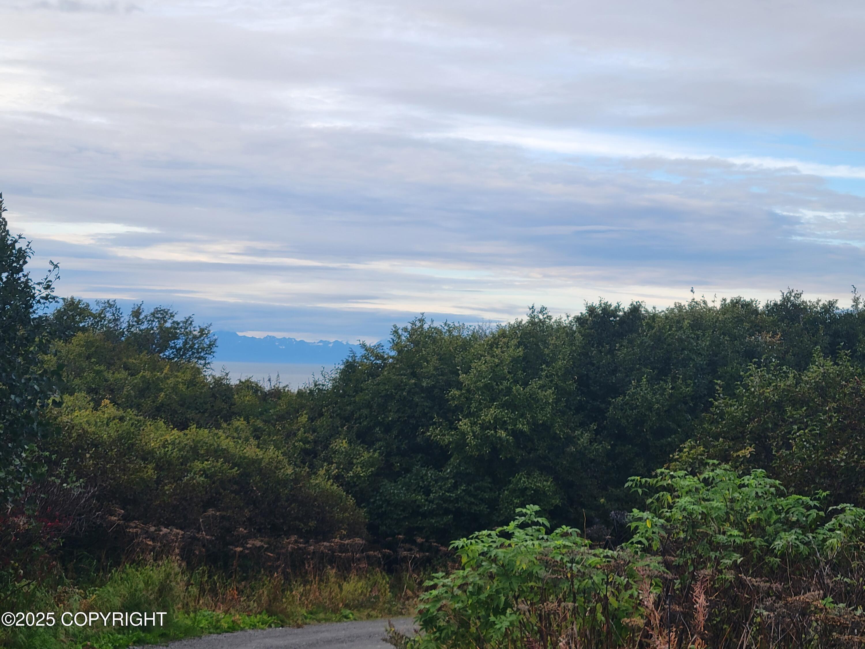 17338 Tidal Knoll Road Property Photo 3