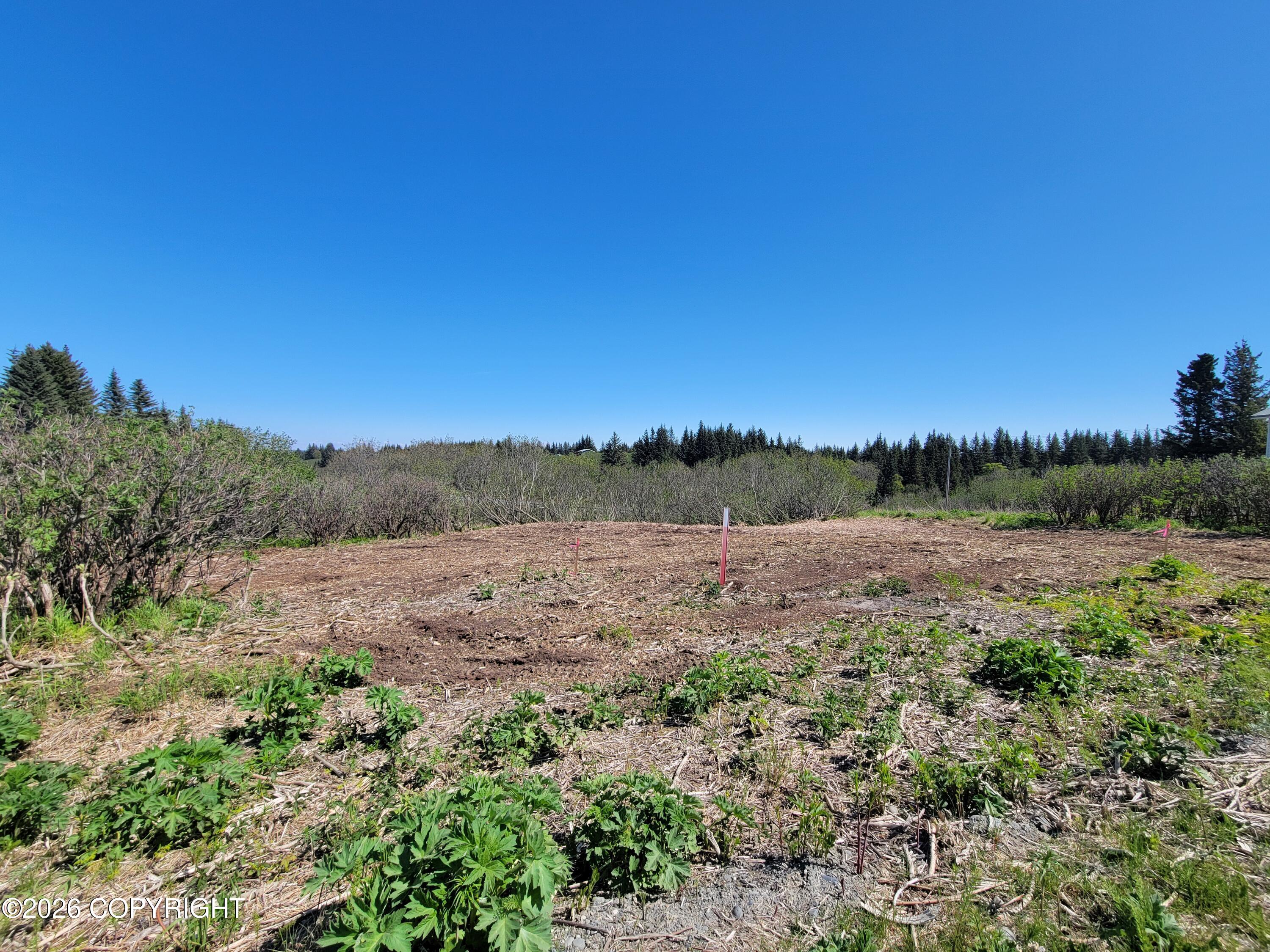 17338 Tidal Knoll Road Property Photo 6