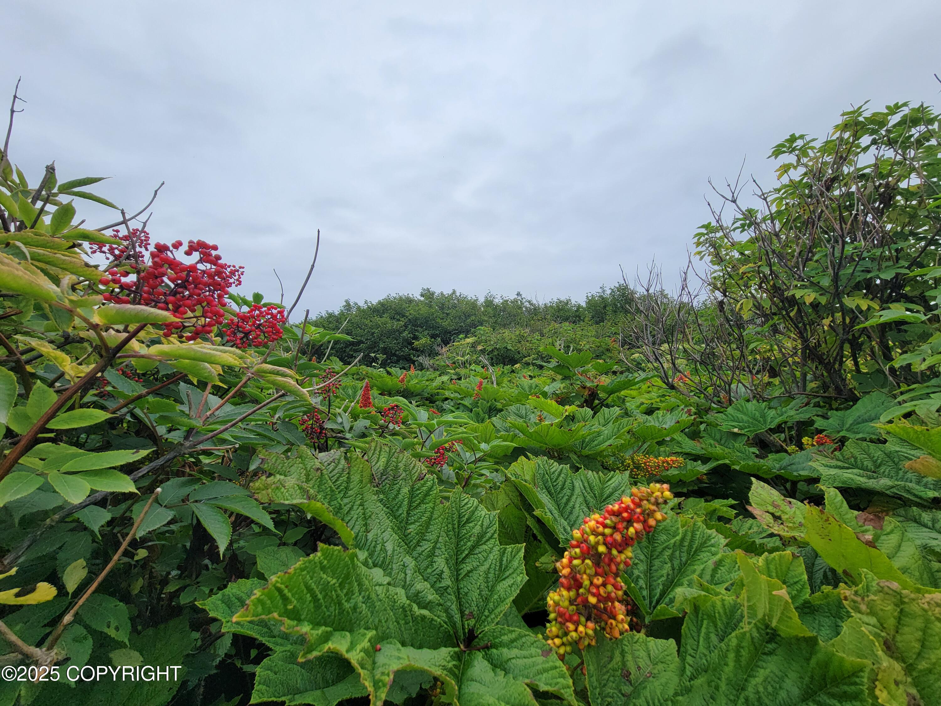 17338 Tidal Knoll Road Property Photo 8