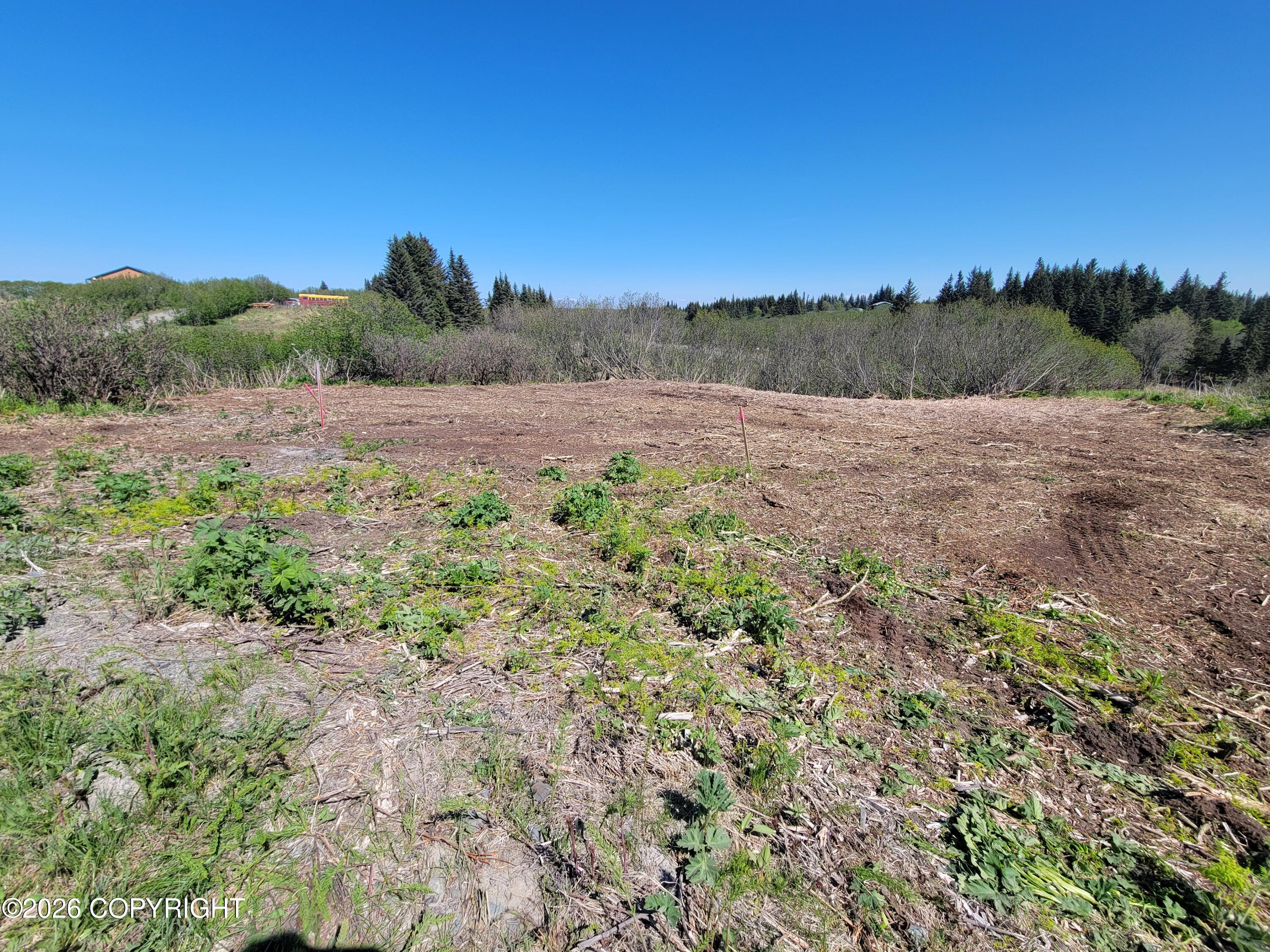 17338 Tidal Knoll Road Property Photo 9
