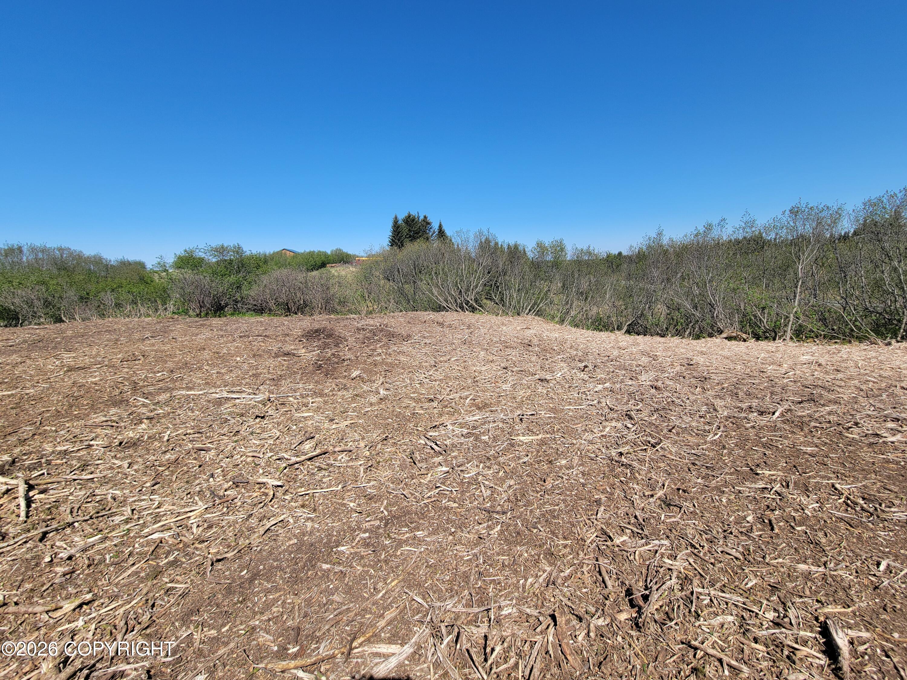 17338 Tidal Knoll Road Property Photo 13