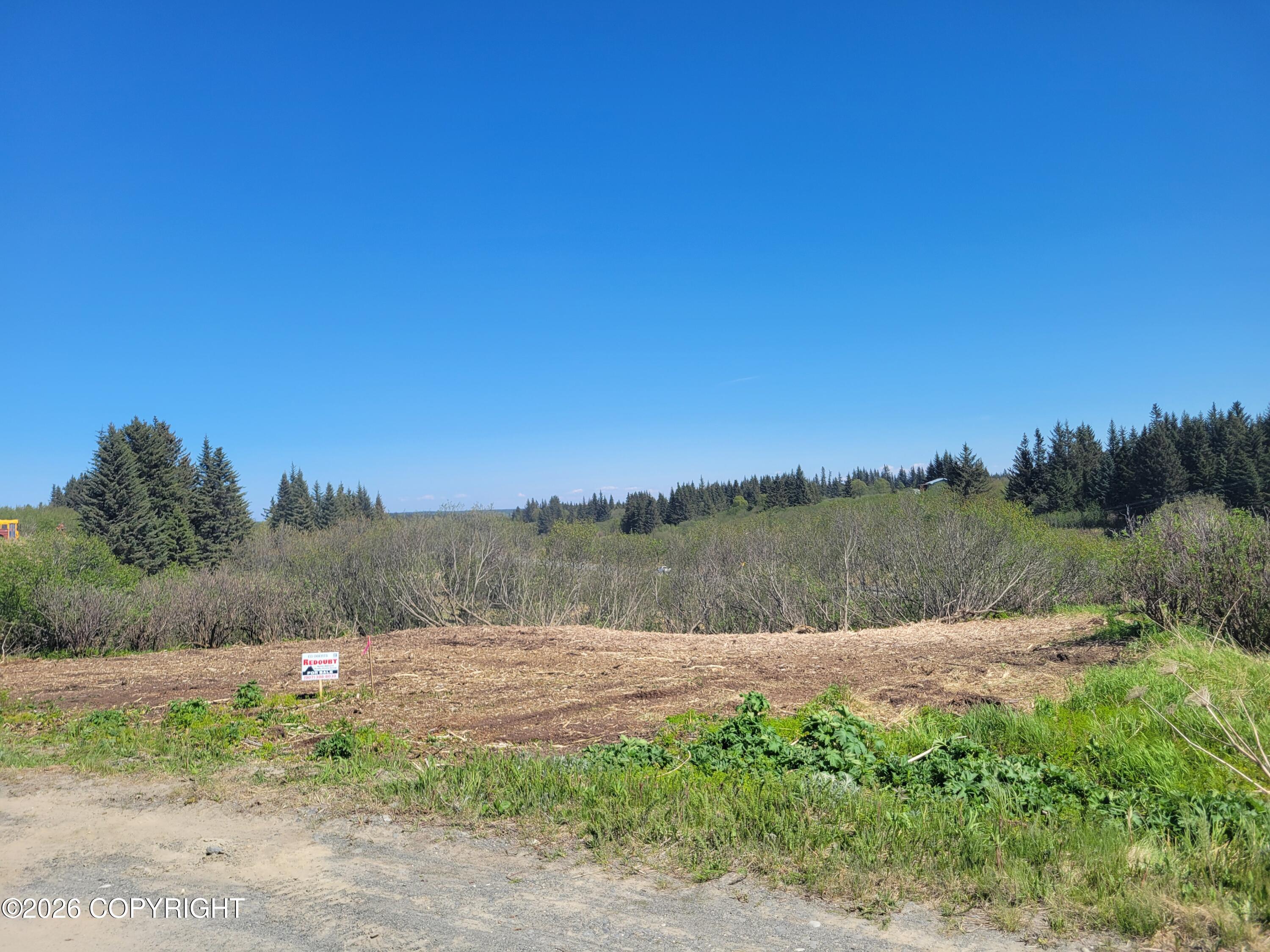 17338 Tidal Knoll Road Property Photo 15