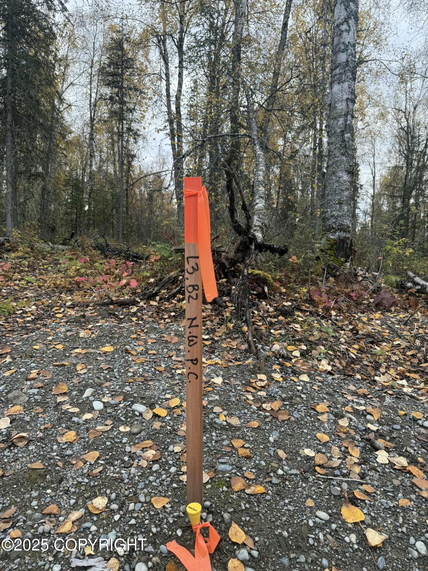 L3 S Lupine Circle Property Photo 2