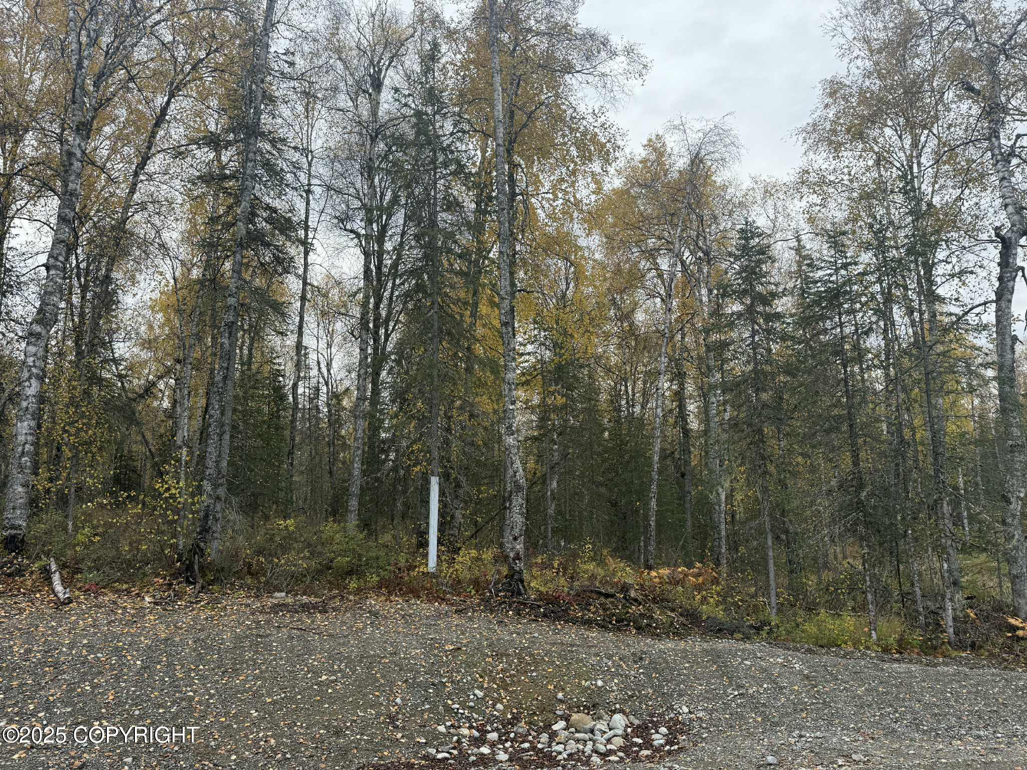 L3 S Lupine Circle Property Photo 3