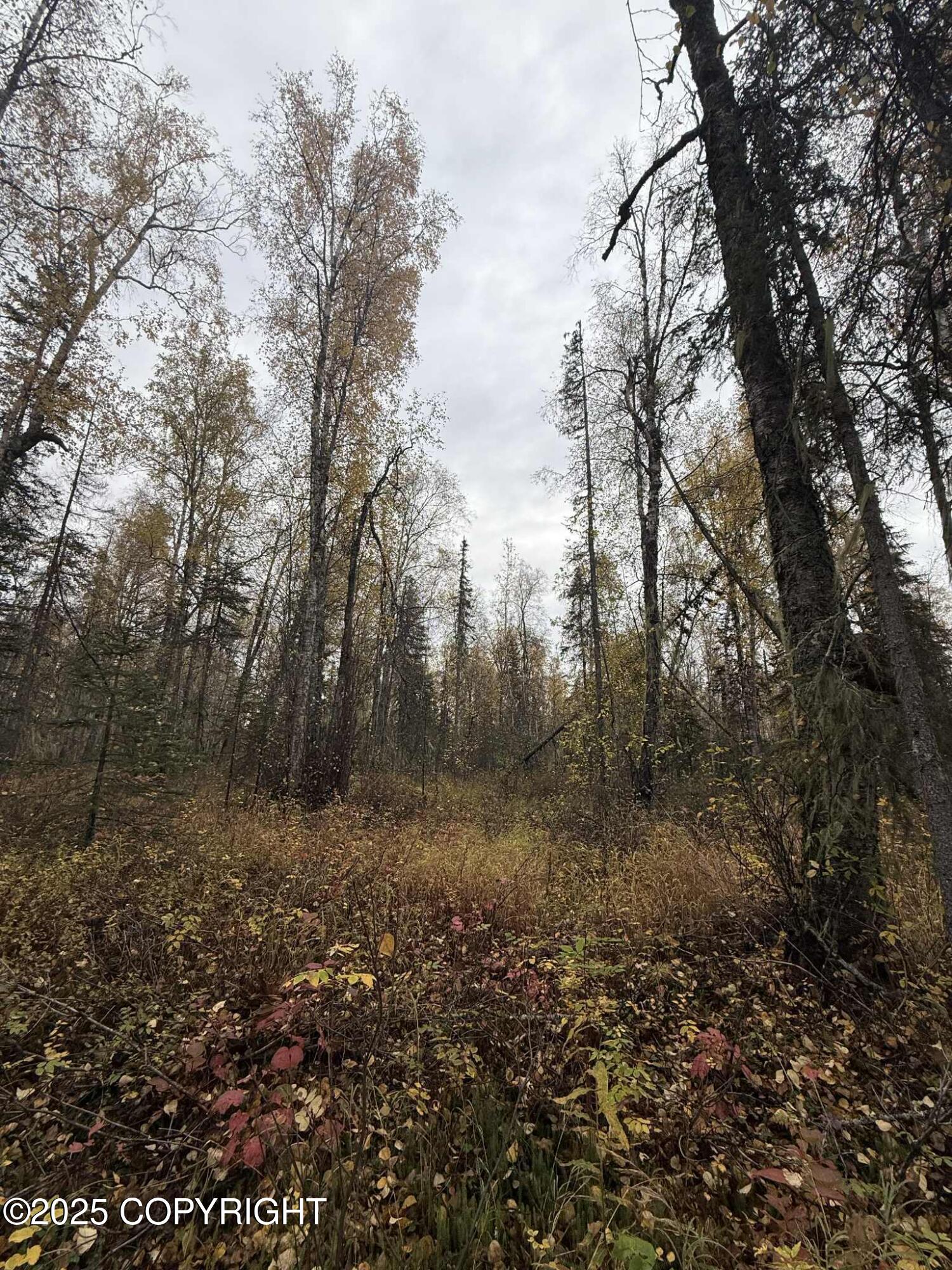 L3 S Lupine Circle Property Photo 4