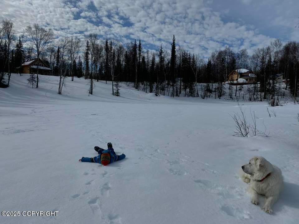 L3 S Lupine Circle Property Photo 24