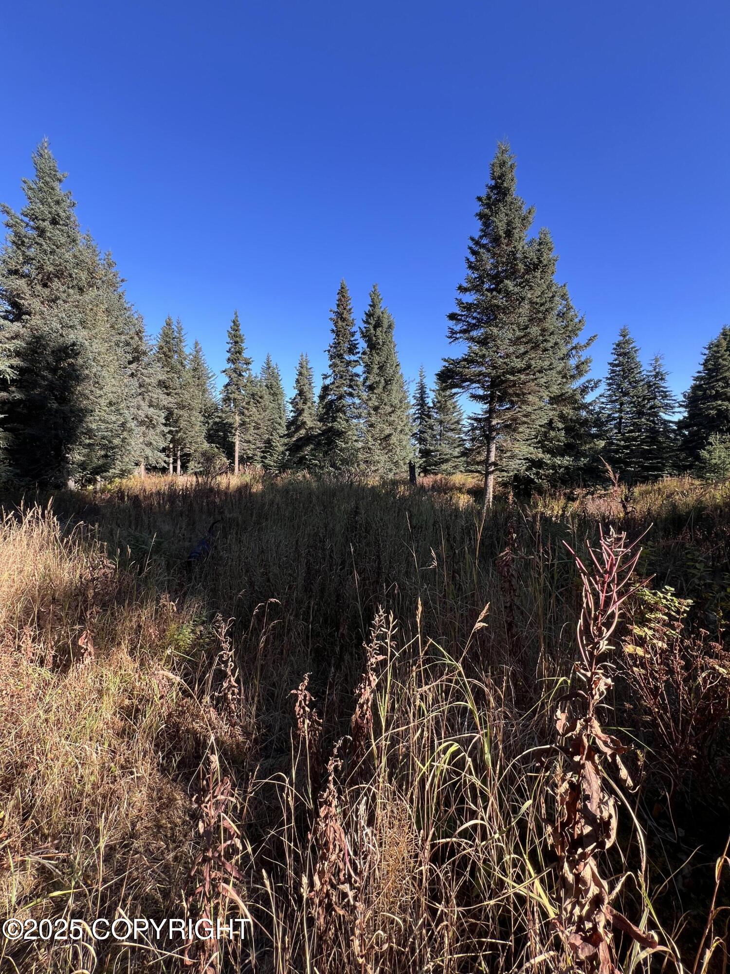 L6 Shegota Loop Property Photo 1