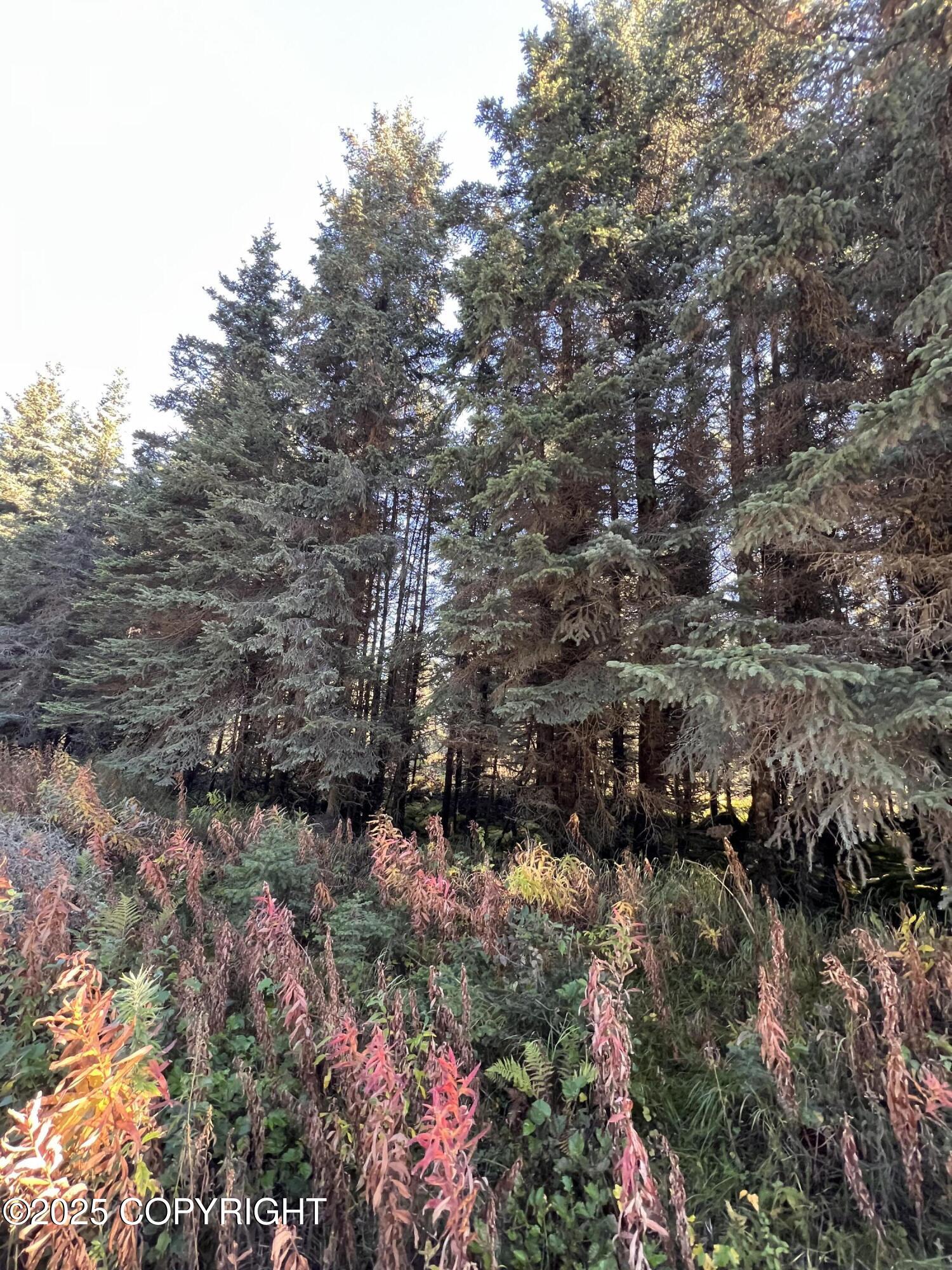 L6 Shegota Loop Property Photo 3