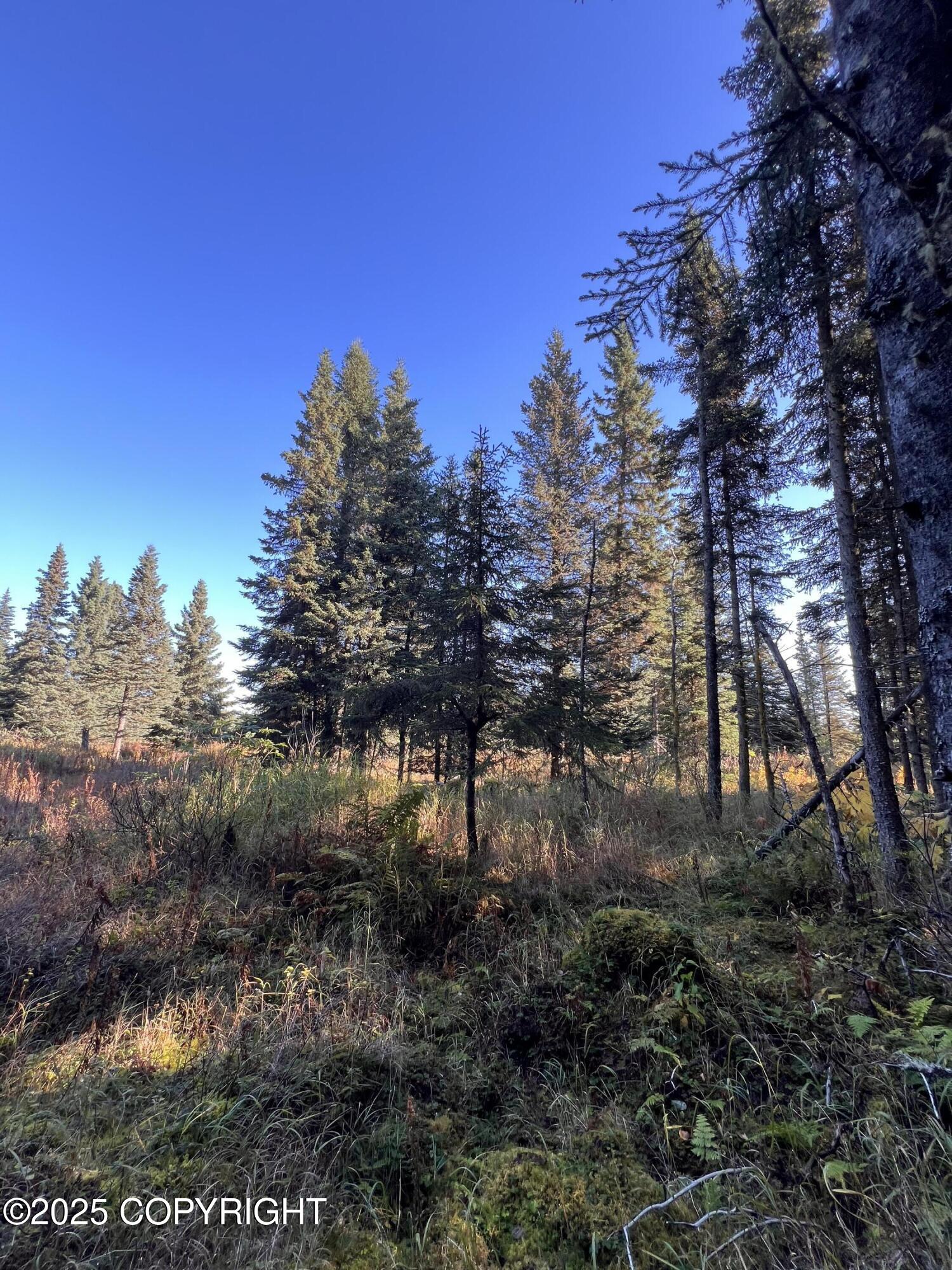L7 Shegota Loop Property Photo 2
