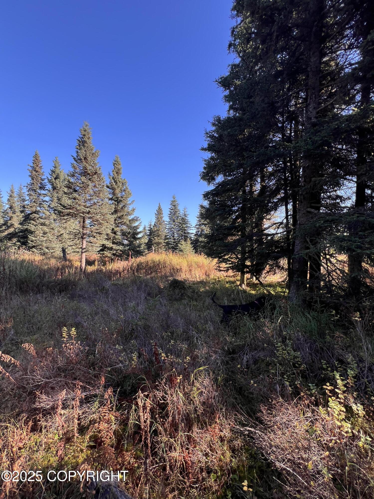 L7 Shegota Loop Property Photo 3