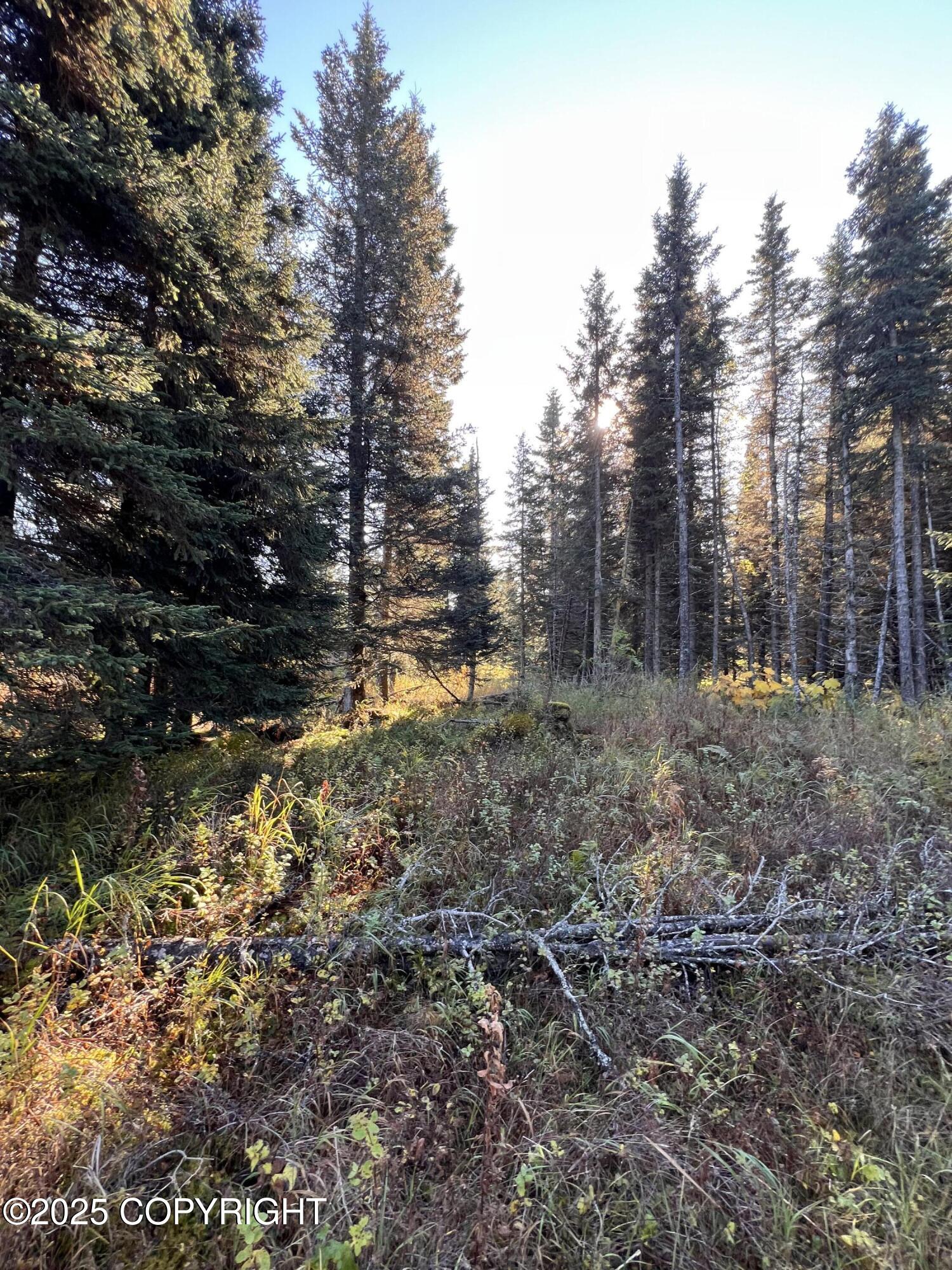 L7 Shegota Loop Property Photo 4