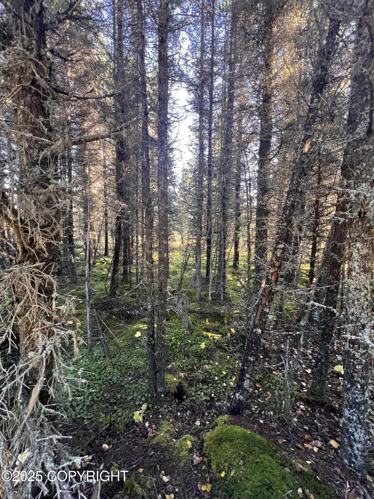 L8 Shegota Loop Property Photo 2