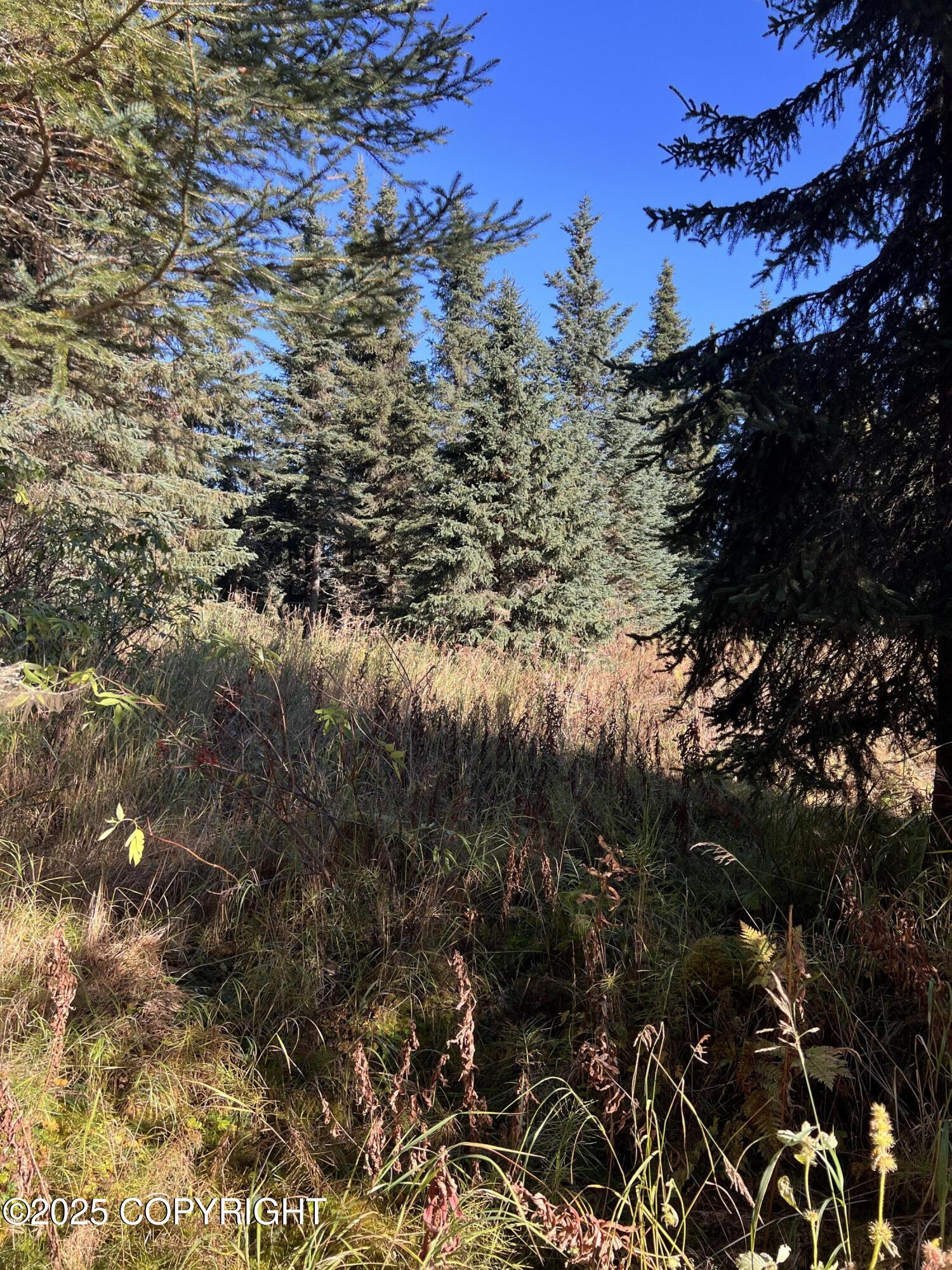 L9 Shegota Loop Property Photo 1