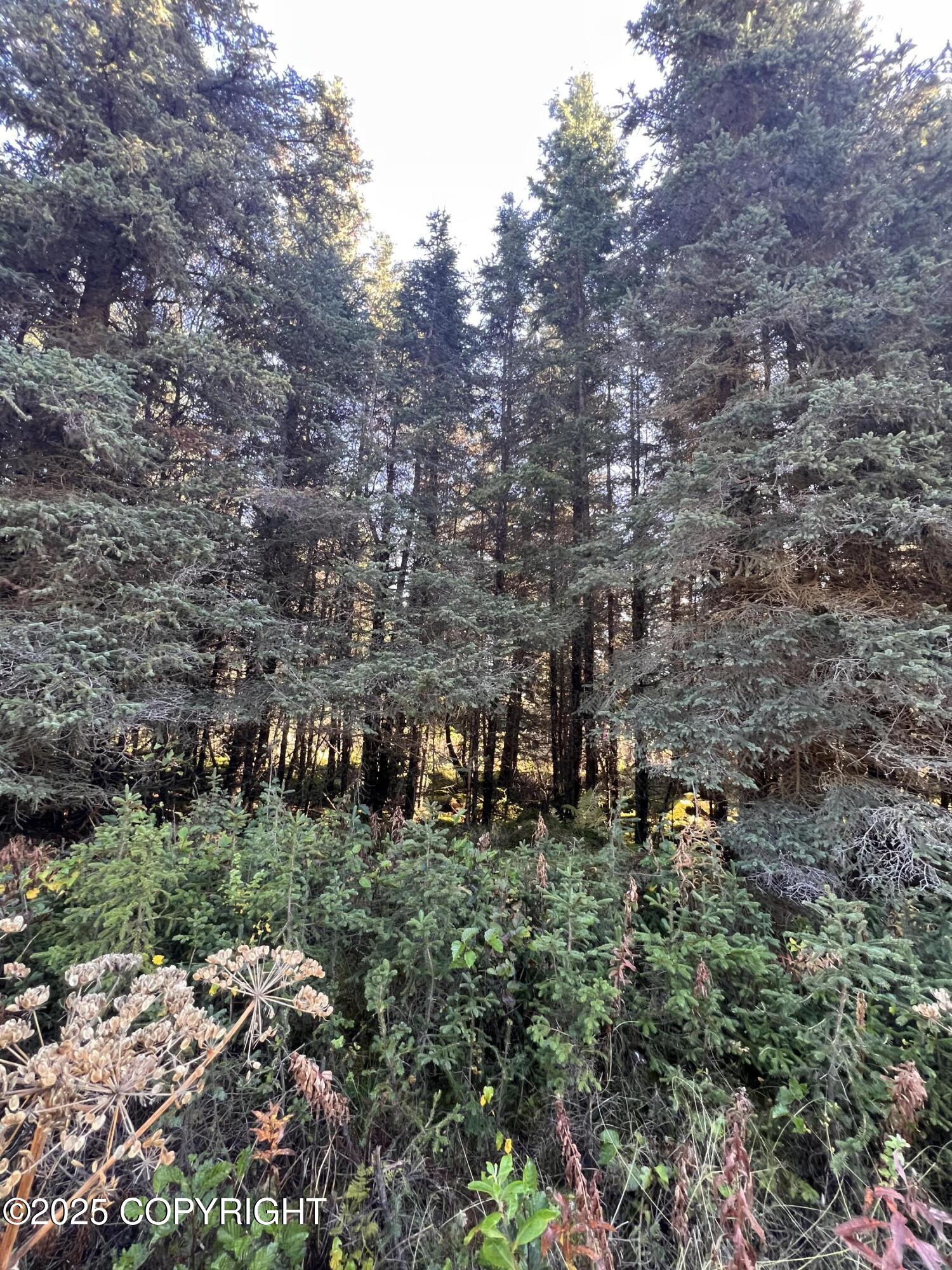 L9 Shegota Loop Property Photo 2