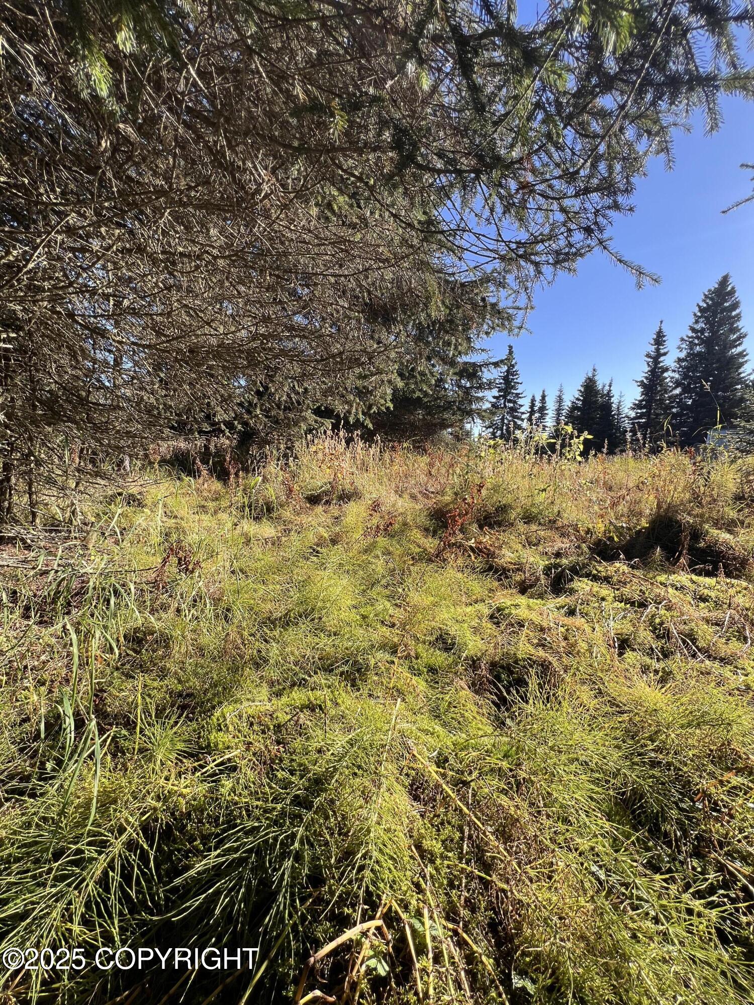 L9 Shegota Loop Property Photo 4