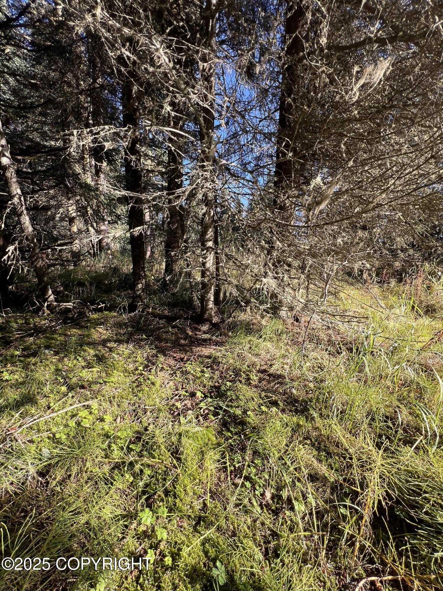 L10 Shegota Loop Property Photo 1