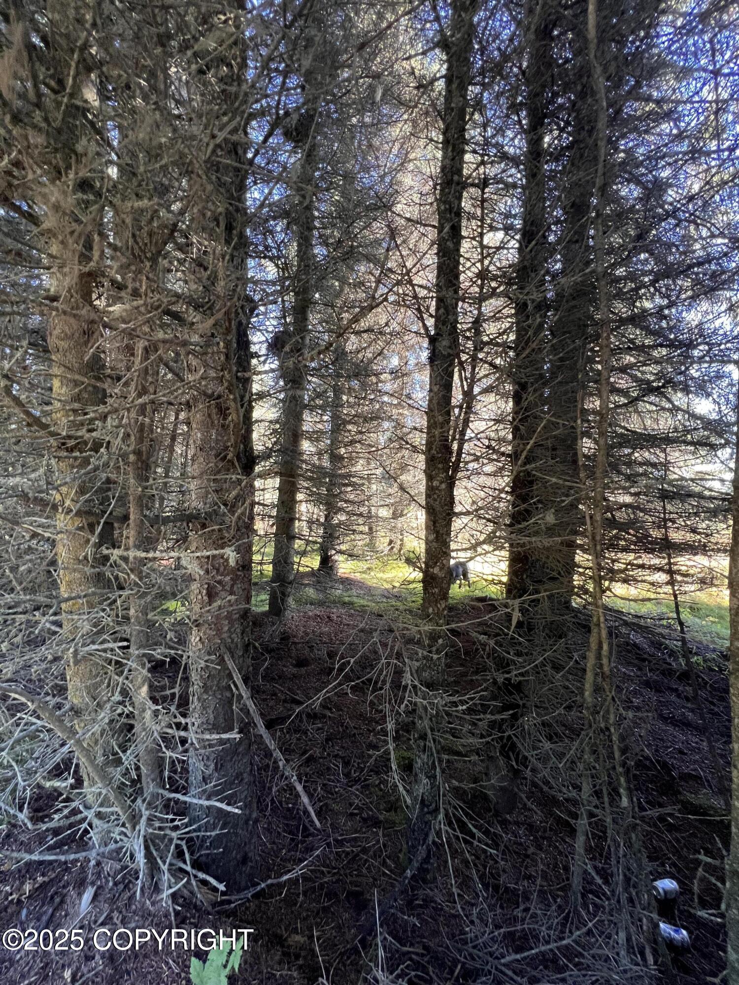 L10 Shegota Loop Property Photo 2