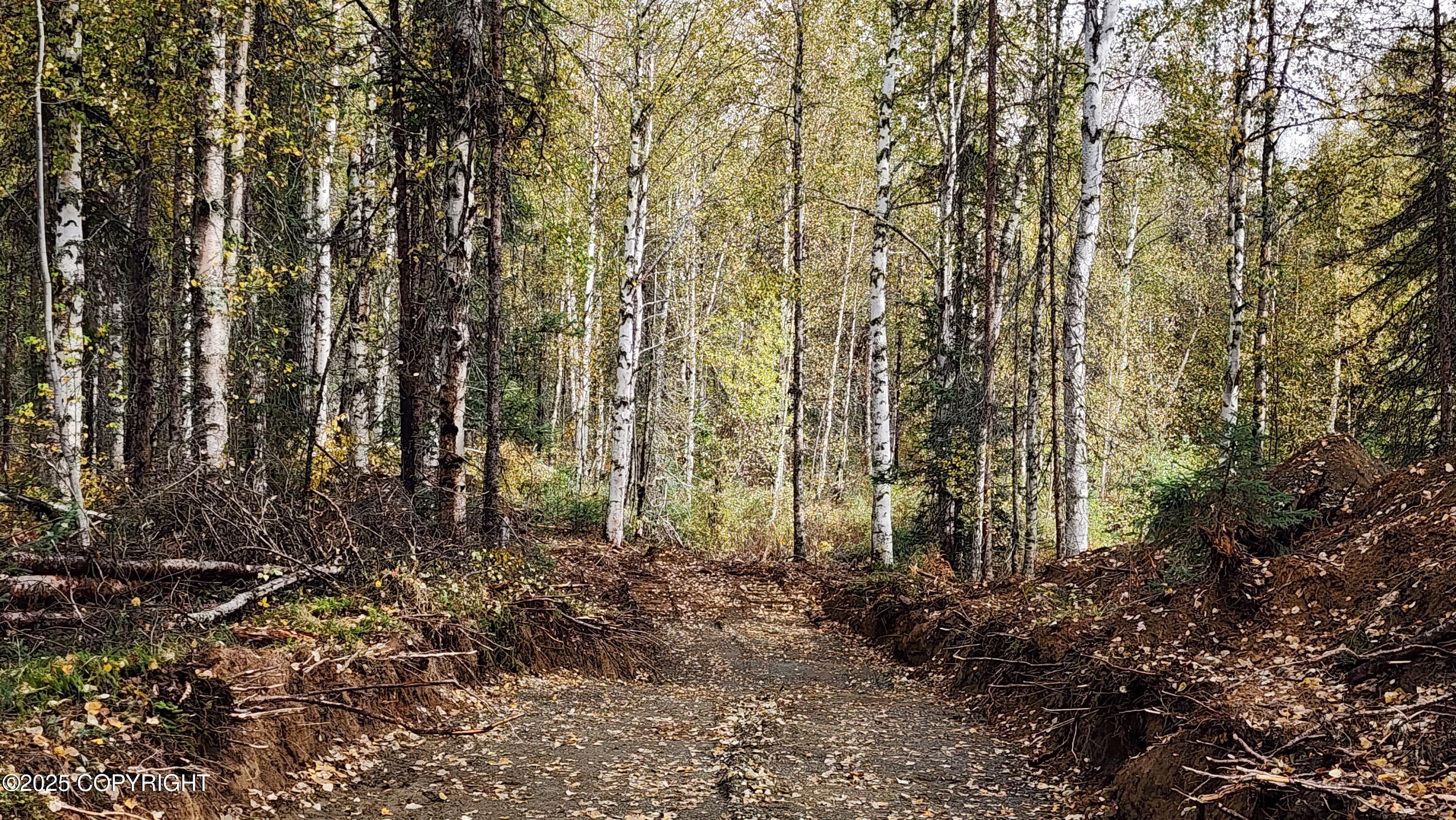 45269 S Upwind Circle Property Photo 8