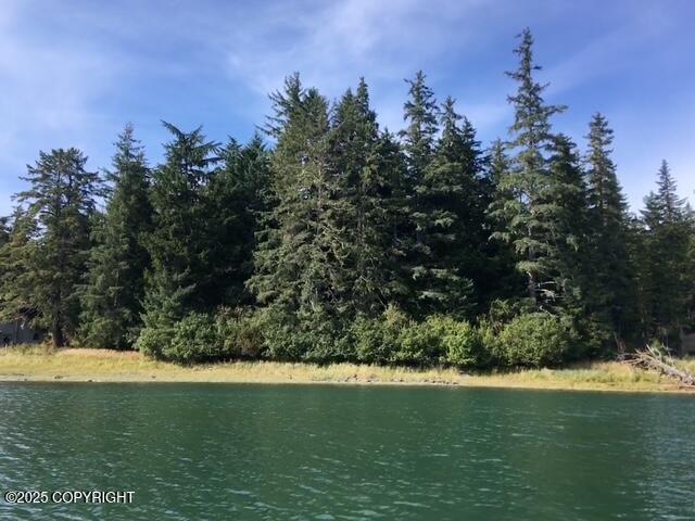 L13 Keene Channel Property Photo 1
