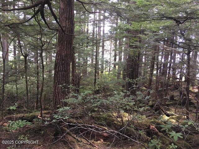 L13 Keene Channel Property Photo 5