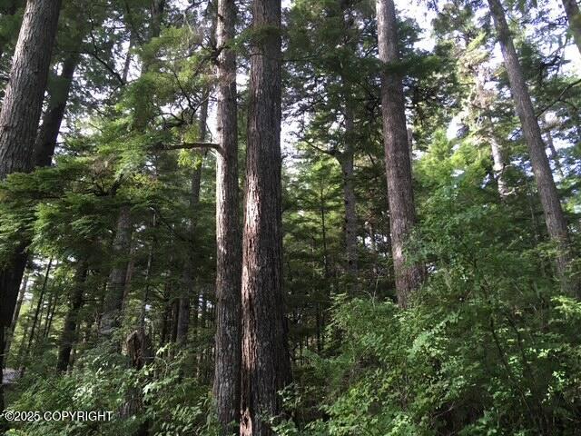 L13 Keene Channel Property Photo 7